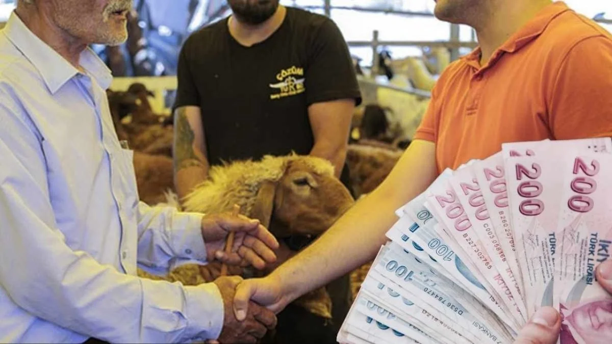2026 Kurbanlık Fiyatları Kaç TL? Küçükbaş Ve Büyükbaş Fiyat Aralıkları - Gündem Haberleri