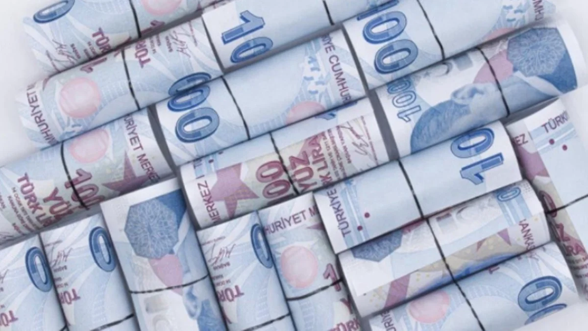 800 Bin TL'si Olanlar Aylık Kaç TL Kazanıyor Belli Oldu - Ekonomi Haberleri