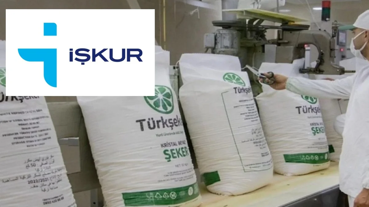 İŞKUR'dan Yeni İş İlanı: 525 Kişi Alınacak - Gündem Haberleri