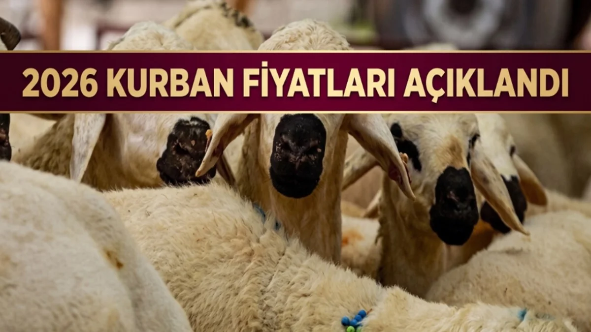 Kurban Pazarında Son Durum! Dana Koyun Büyükbaş Küçükbaş Fiyat Listesi - Ekonomi Haberleri