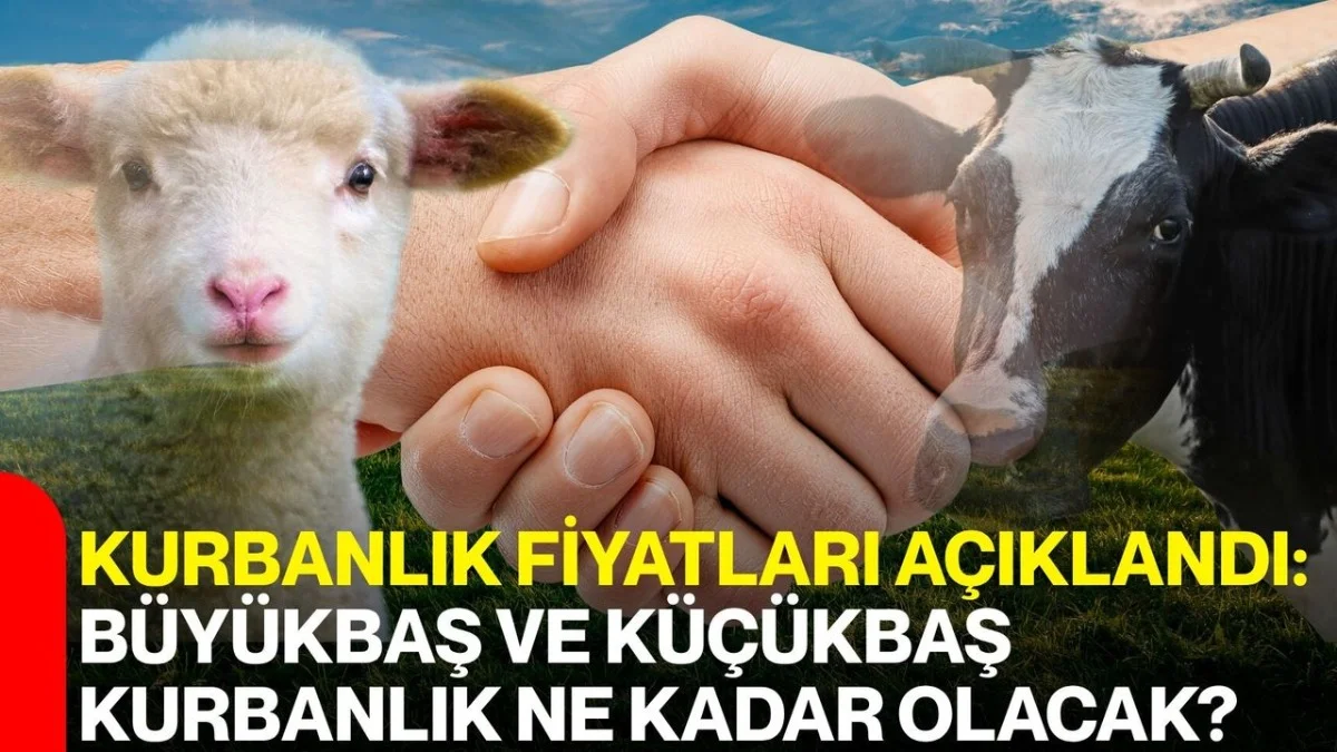 Kurbanlık fiyatları 2026’da yükseldi! Büyükbaş ve küçükbaşta yeni liste ortaya çıktı - Gündem Haberleri